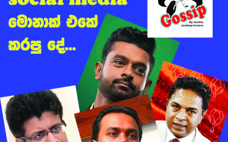 විපක්ෂයේ social media  මොනාක් එකේ කරපු දේ...