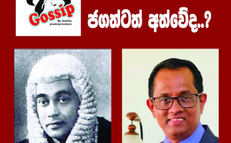 මොලමුරේගේ වාර්තාව  ජගත් බිද දමයිද...