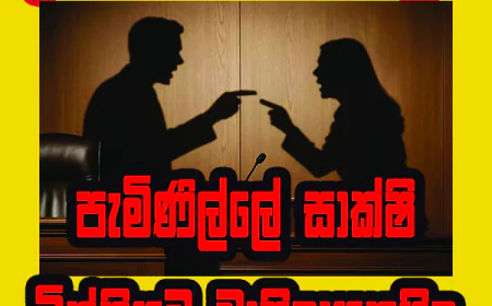 පැමිණිල්ලේ සාක්ෂි විත්තියට වාසිදායකයිද..!