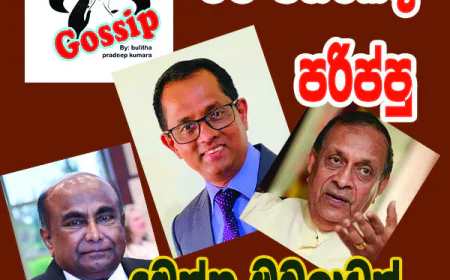 මට විතරක්ද පරිප්පු... මෙන්න ඔබලාටත්...