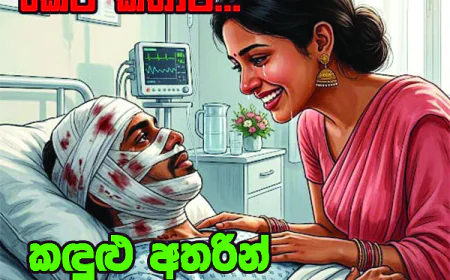 කඳුළු අතරින්  බොදව ගිය සිතුවම...