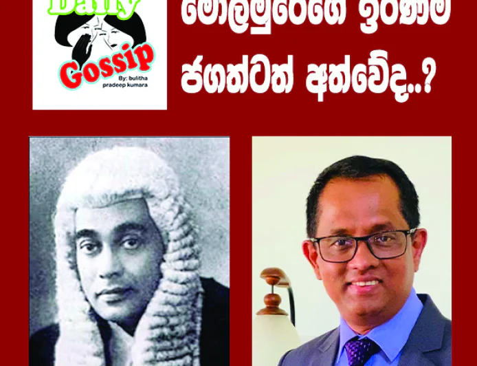 මොලමුරේගේ වාර්තාව  ජගත් බිද දමයිද...