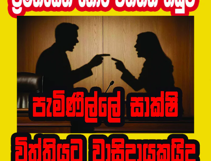 පැමිණිල්ලේ සාක්ෂි විත්තියට වාසිදායකයිද..!