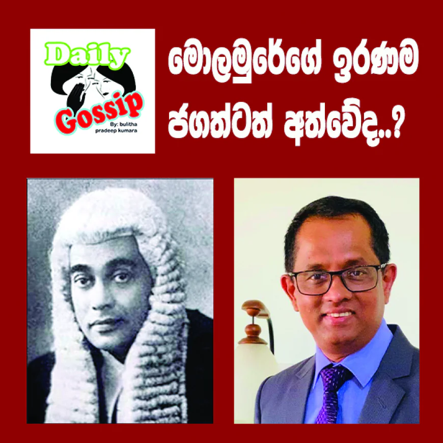 මොලමුරේගේ වාර්තාව  ජගත් බිද දමයිද...
