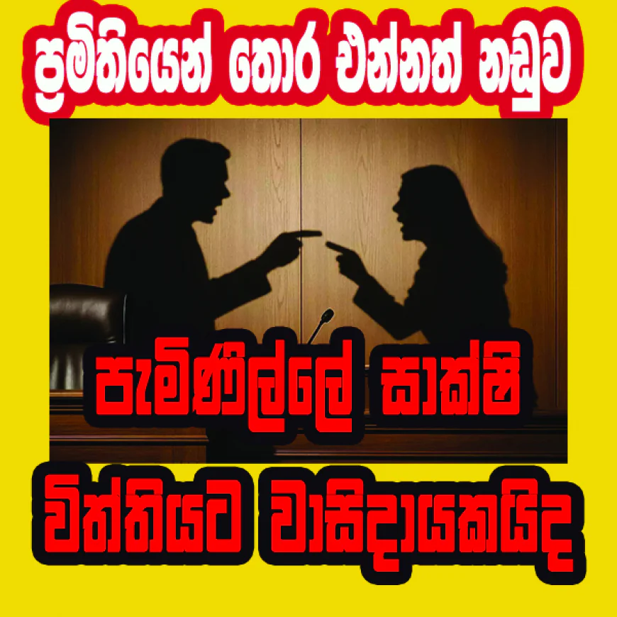 පැමිණිල්ලේ සාක්ෂි විත්තියට වාසිදායකයිද..!