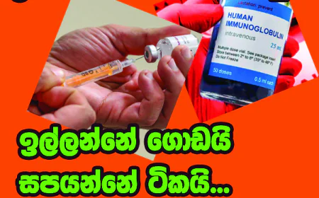 ඇනවුම් කරන ප්‍රමාණ සැපයුම් කරන ප්‍රමණ අතර පවතින ලොකු පරස්පරය බරපතළ සැකයක්...