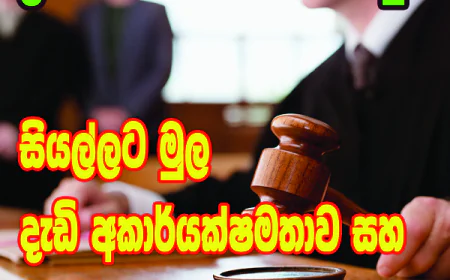 සියල්ලට මුල දැඩි අකාර්යක්ෂමතාව සහ  නිලධාරීන්ගේ නොසැලකිල්ල