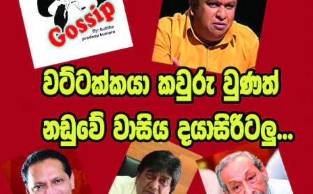 වට්ටක්කයා කවුරු වුණත් නඩුවේ වාසිය දයාසිරිටලු...