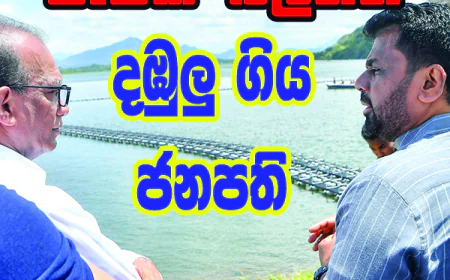වැවක් බලන්න දඹුලු ගිය ජනාධිපති...
