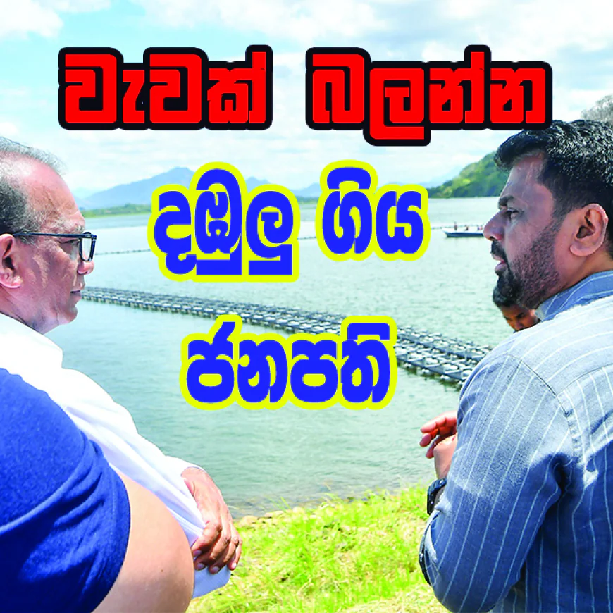 වැවක් බලන්න දඹුලු ගිය ජනාධිපති...