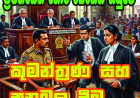 ප්‍රමිතියෙන් තොර බෙහෙත් නඩුවේ  කුමන්ත්‍රණ සහ  අනුබල දීම...