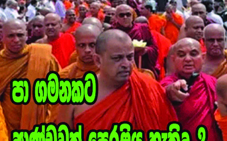 පා ගමනකට  ආණ්ඩුවක් පෙරළිය හැකිද..?