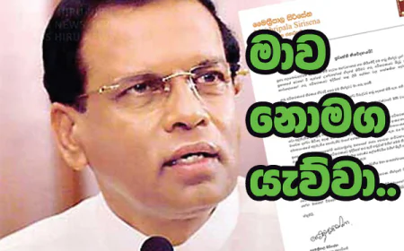 නීති නිලධාරිනිය  මාව නොමග යැව්වා..