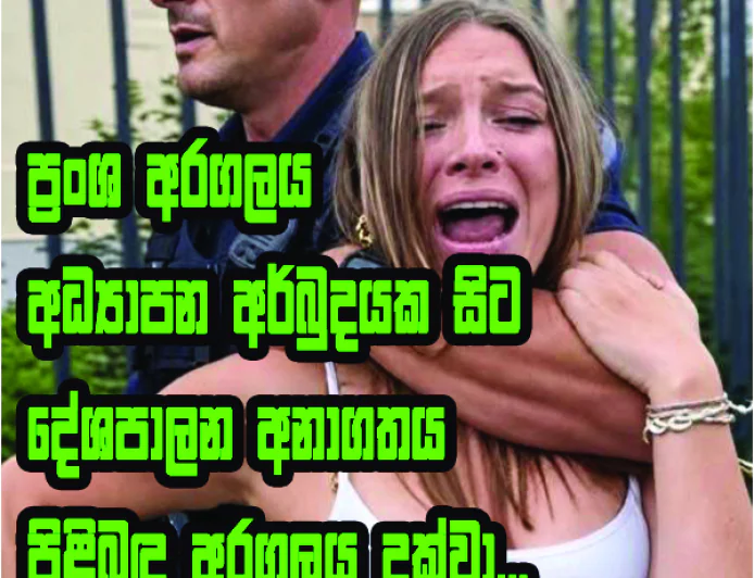 ප්‍රංශ ශිෂ්‍ය අරගලය  අධ්‍යාපන අර්බුදයක සිට  දේශපාලන අනාගතය  පිළිබඳ අරගලය දක්වා...